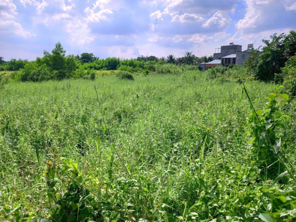 Đất Nở Hậu Vườn Lài Quận 12: 4324m2, Ngân hàng hỗ trợ