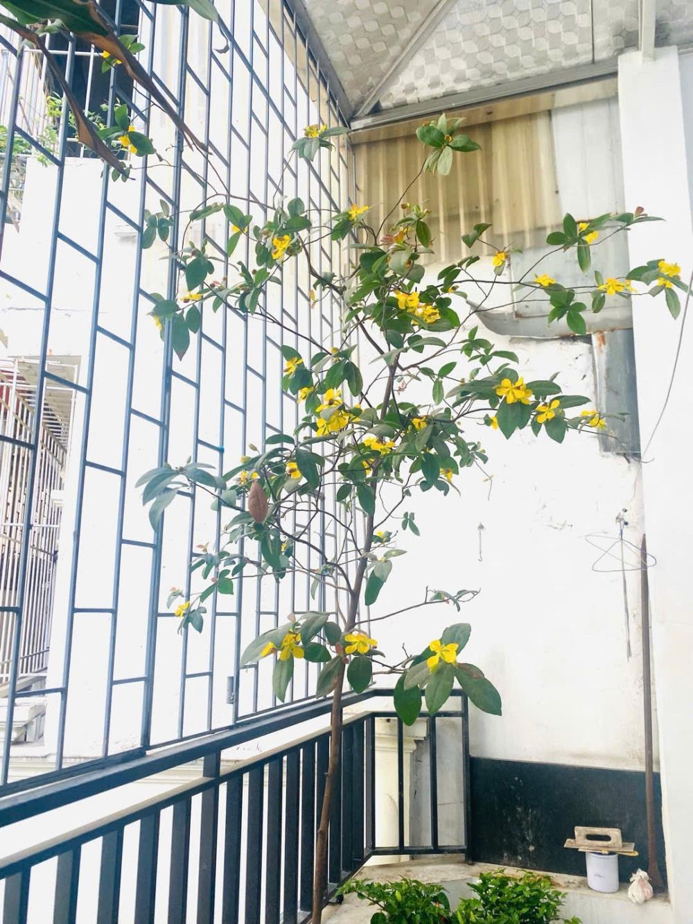 Bán Nhà Đống Đa 4 Tầng, 35m2, Ngõ Thông, Vài Bước Ra Phố - Giá Tốt