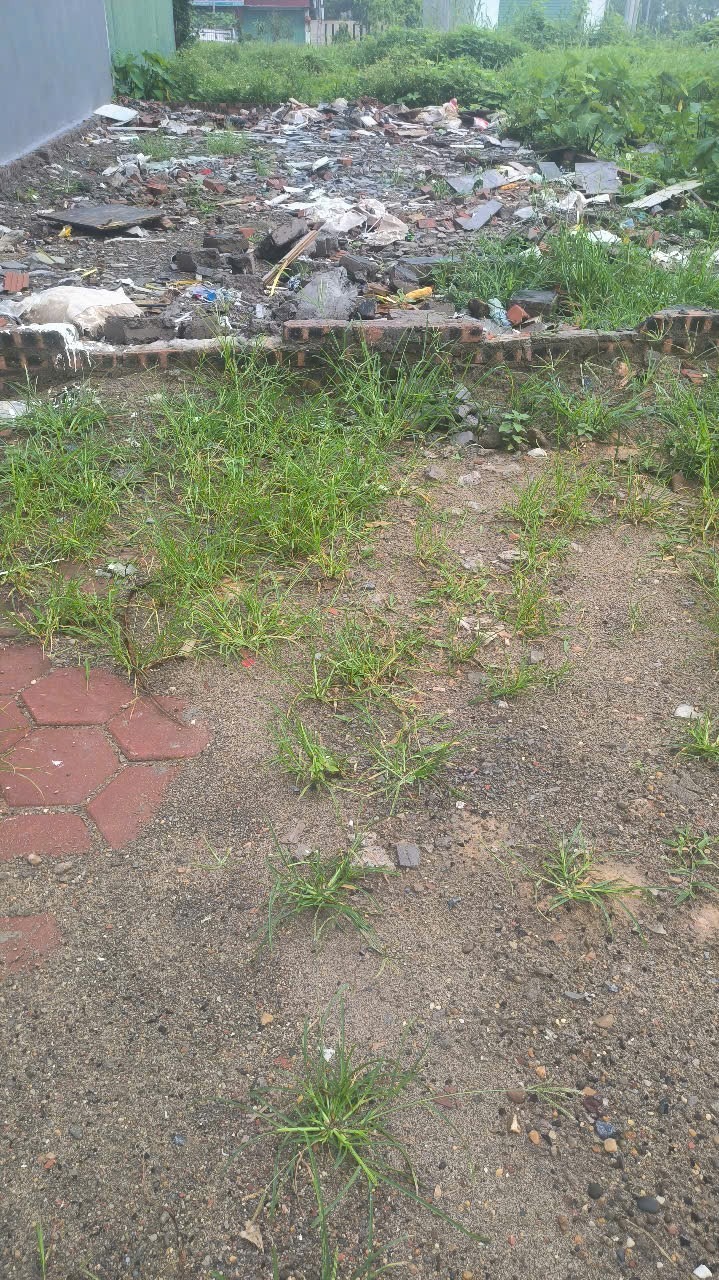 Đất đấu giá Đông Anh - Vị trí đẹp, Giá tốt, Tiềm năng sinh lời cao