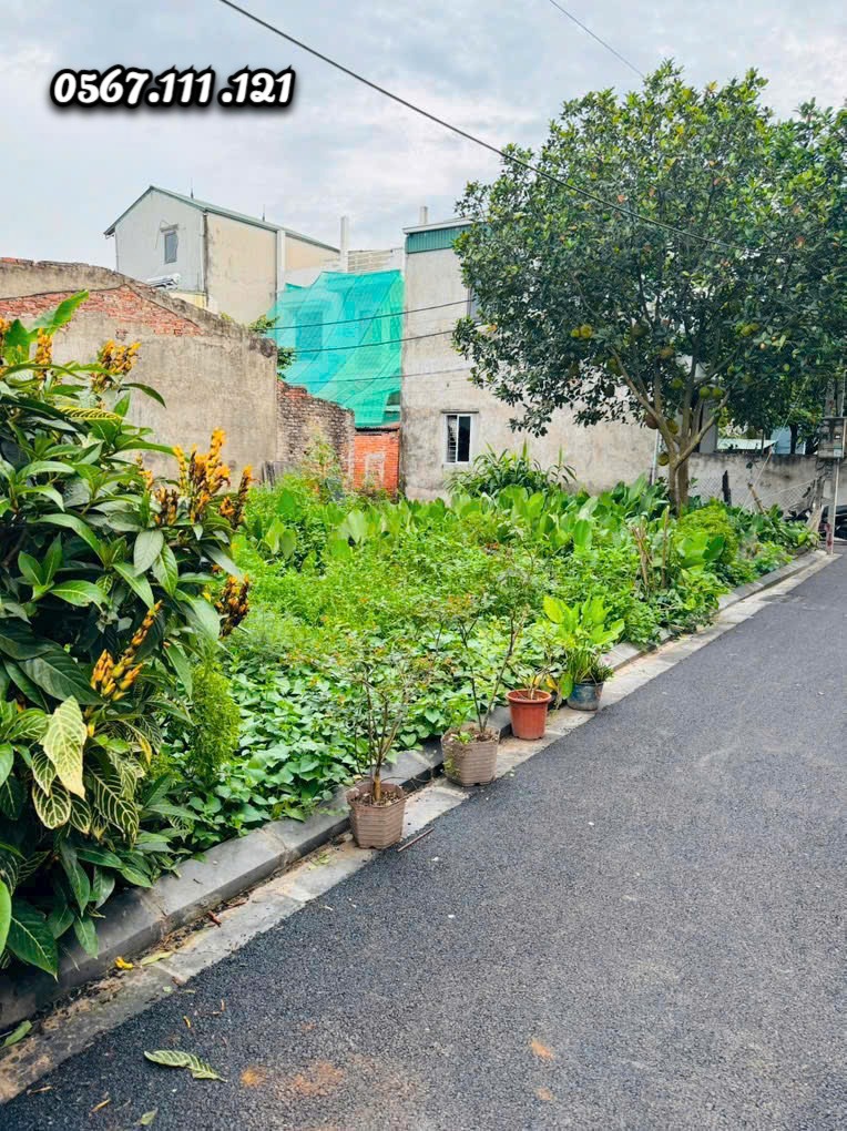 Siêu phẩm 40m2 Tằng My, Nam Hồng: Lô góc, mặt tiền, ô tô đỗ cửa