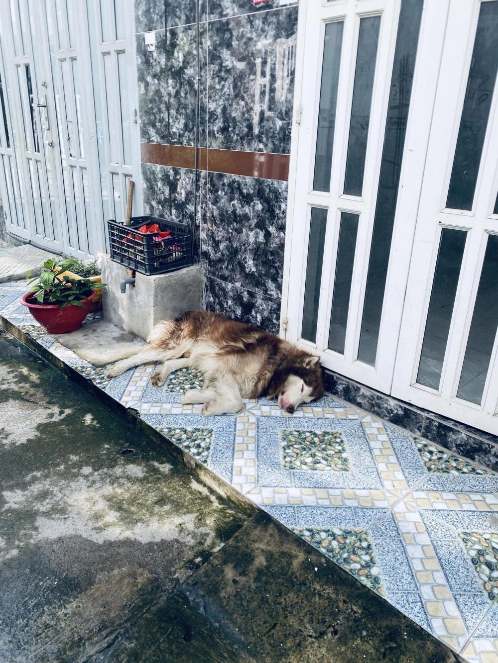Bán Nhà Hóc Môn Giá Rẻ 945tr - Sổ Hồng Riêng, 1 Trệt 1 Lầu