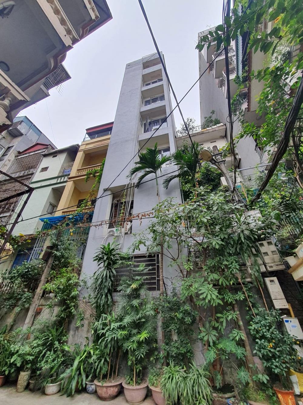 Siêu phẩm phân lô phố Nguyễn Thị Định, Cầu Giấy: Dòng tiền khủng, thang máy, ô tô