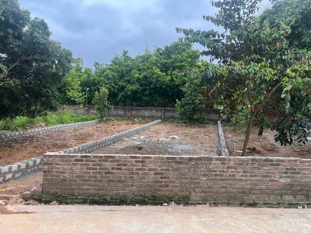 Đất nền Xuân Long - 295m2 Full Thổ Cư - Giá 24tr/m2