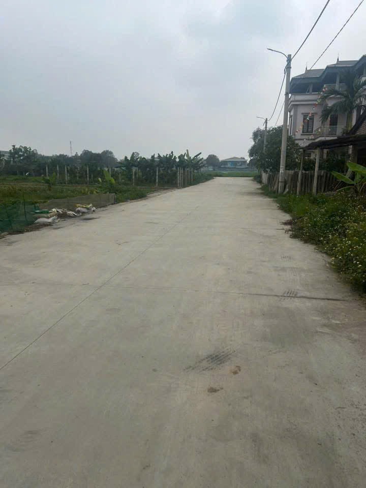Bán đất nền KCN Đông Anh - 120m² mặt tiền 6m, giá tốt - Đầu tư sinh lời