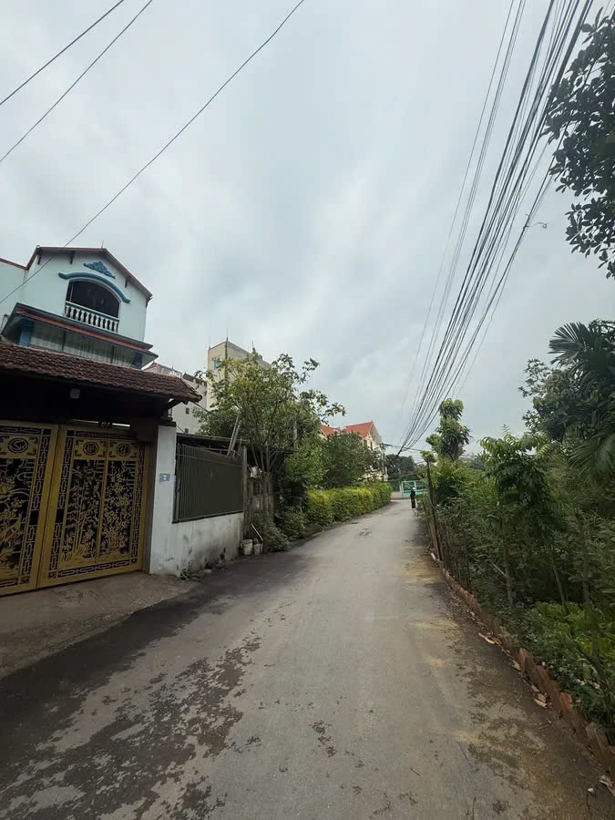 Đất nền Đông Mỹ - Vị trí vàng, tiềm năng tăng giá, ô tô vào tận nhà