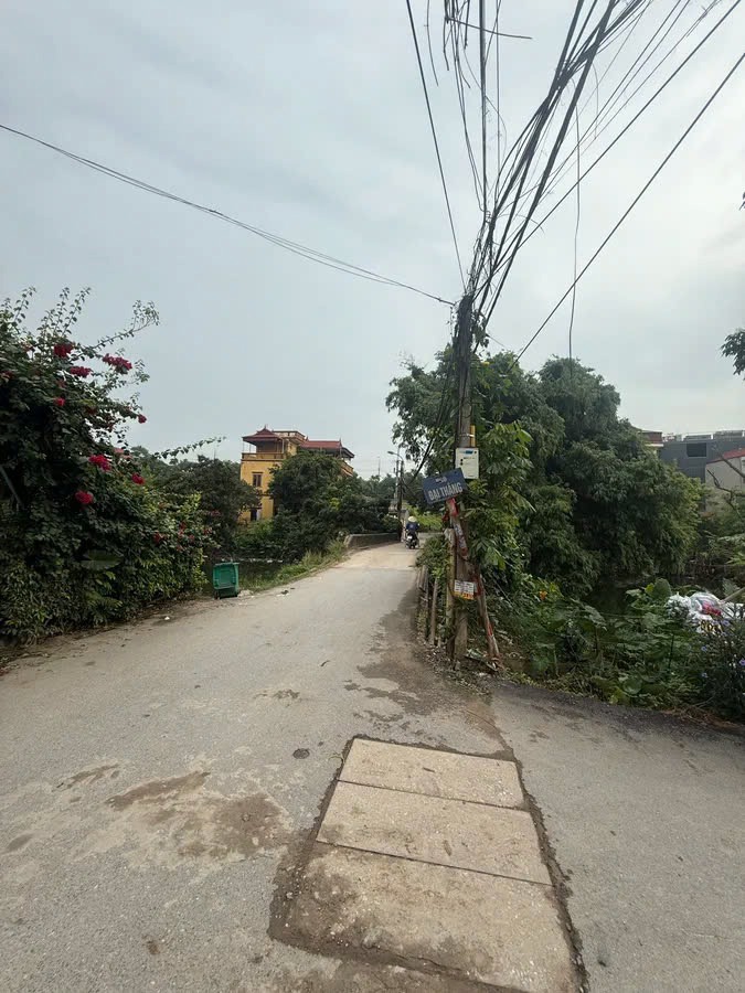 Đất nền Đông Mỹ - Vị trí vàng, tiềm năng tăng giá, ô tô vào tận nhà