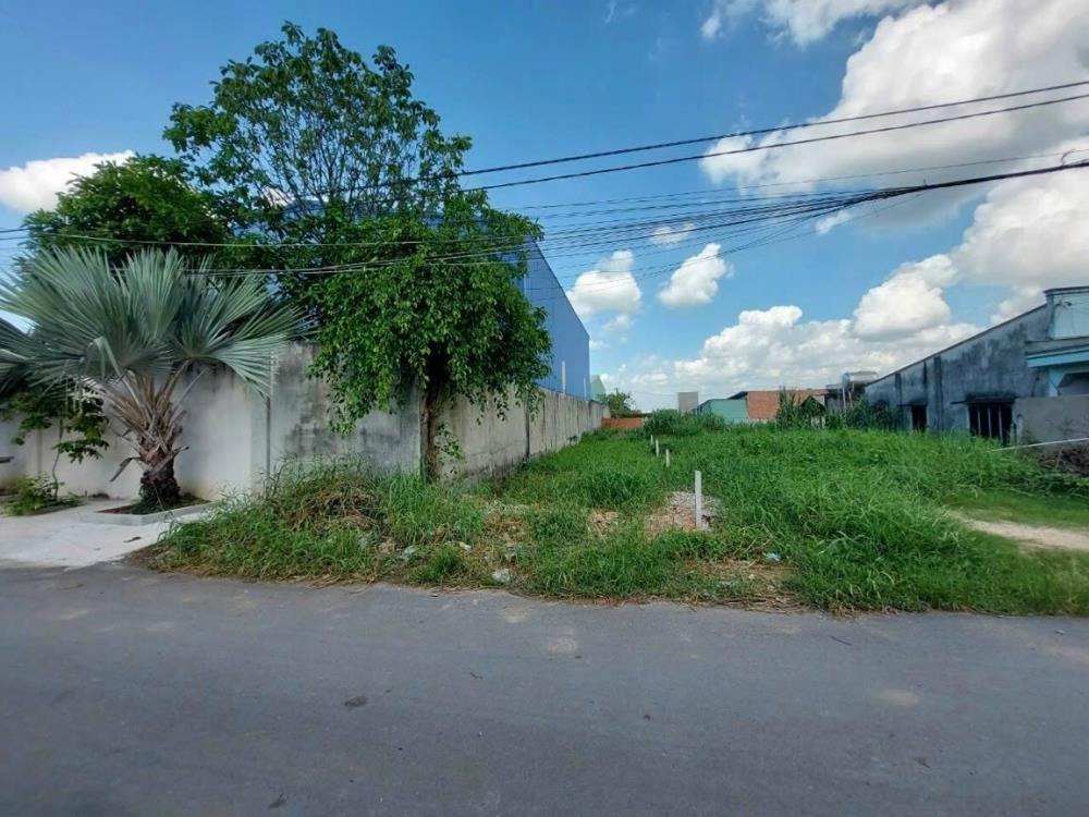 Bán Gấp Lô Đất Củ Chi Giá Rẻ - 460TR - Vị Trí Đắc Địa, Pháp Lý Sổ Hồng