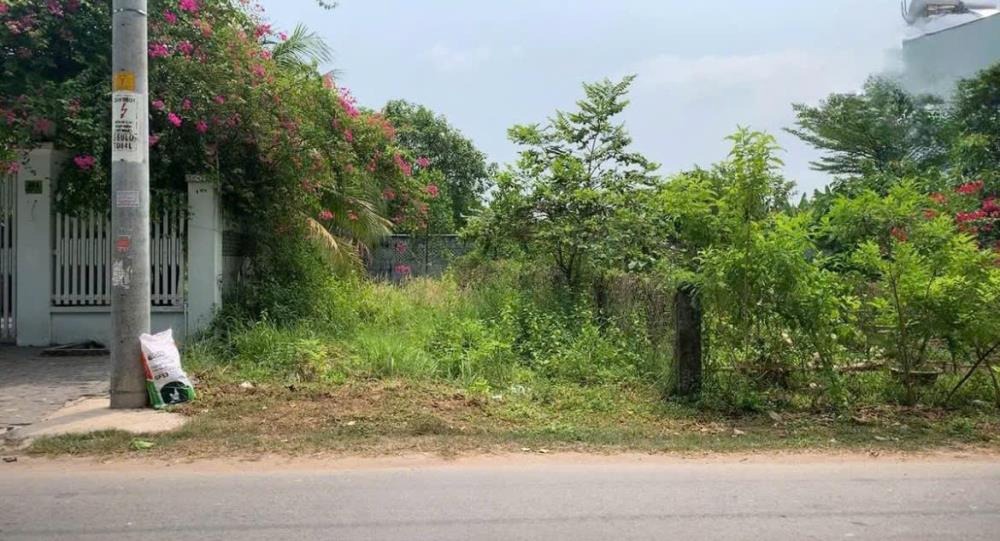 Lô Đất Mặt Tiền Giá Tốt Tại Xã Nhuận Đức - Đầu Tư Sinh Lời