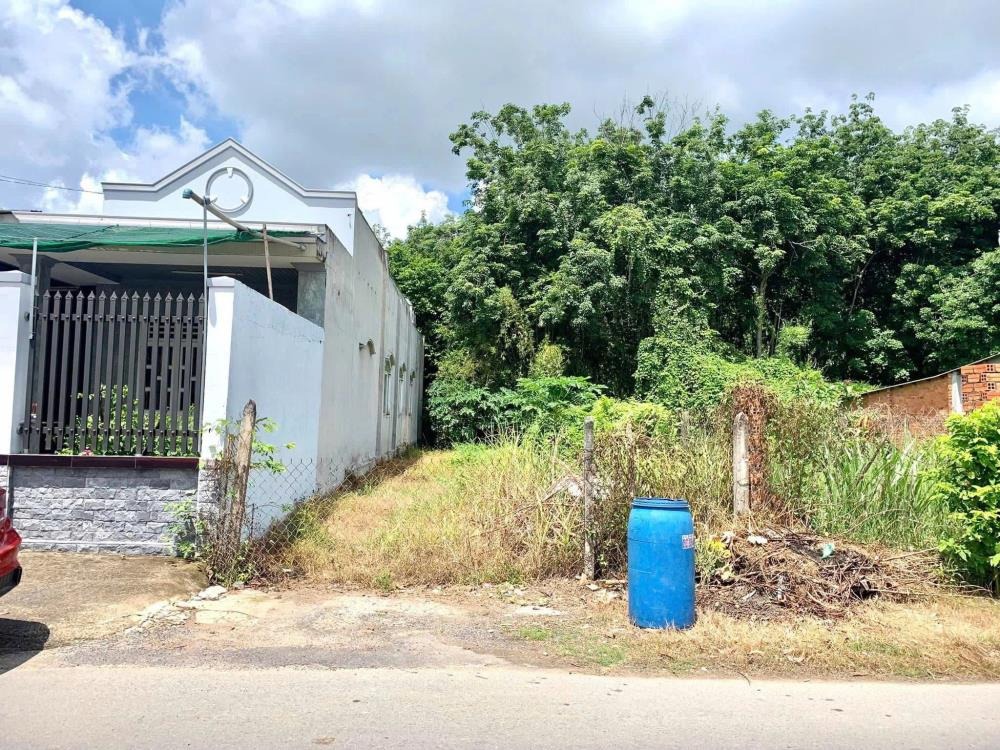 Bán đất nền Củ Chi 190m2, Full thổ, Sổ Hồng Riêng - Giá Tốt