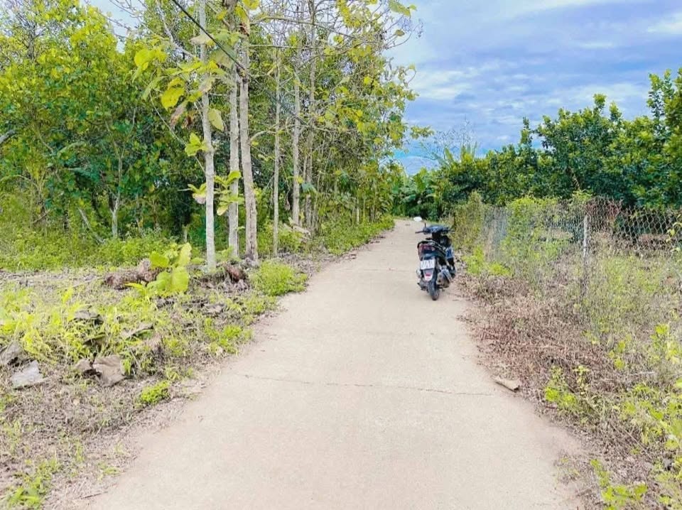 Bán Đất Nền Củ Chi Full Thổ Cư 174m2 - Pháp Lý Sẵn - Đầu Tư/An Cư