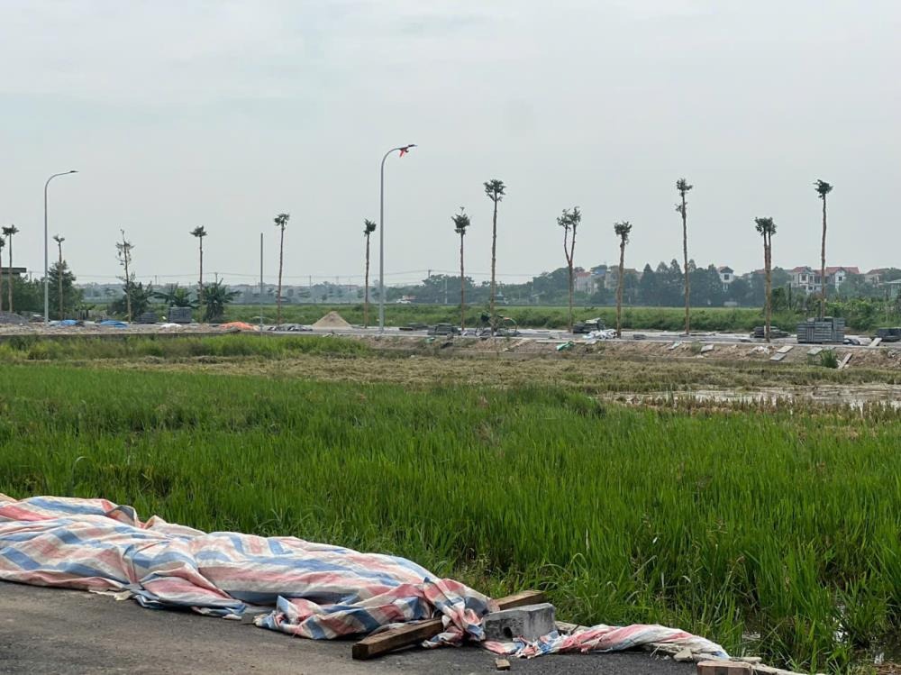 Lô Đất Xuân Nộn - Đông Anh: 82.2m² View Đồng, Pháp Lý Sổ Đỏ, Giá Tốt