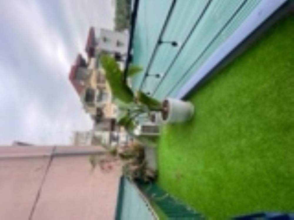 Siêu phẩm nhà phố Tây Hồ - 3 Tầng, Sổ Đỏ, View Đẹp, Giá Tốt
