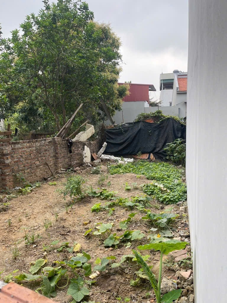 Bán 47m2 Đất Uy Nỗ, Sát KĐT Calyx, Giá Tốt - Vị Trí Đẹp