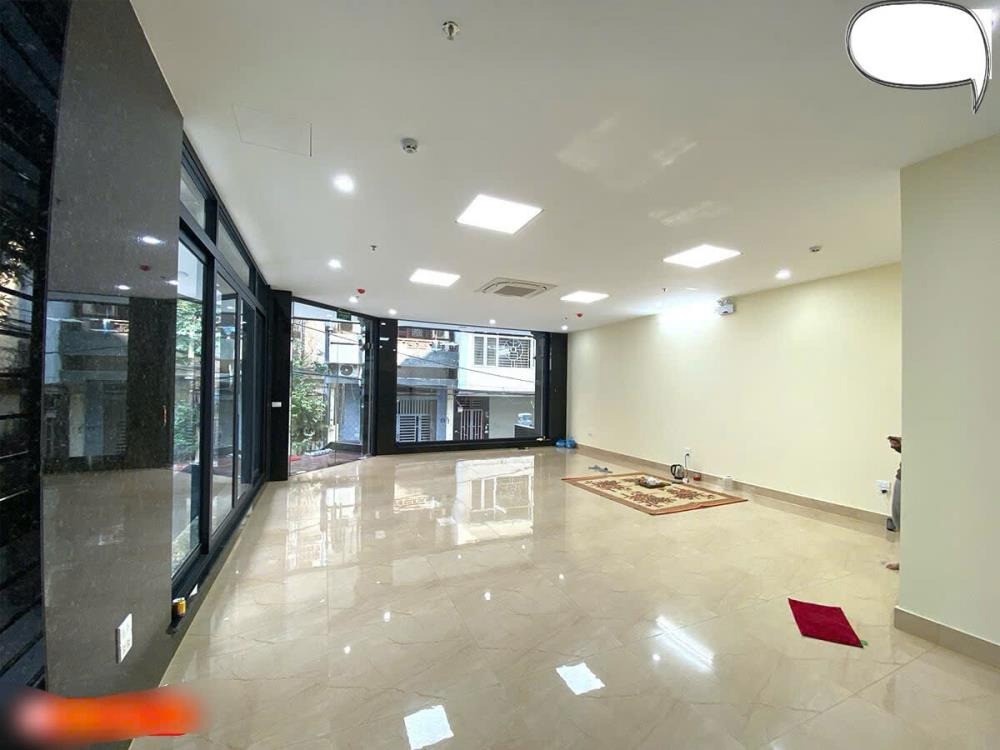 Mỹ Đình: Căn Góc Mặt Tiền 8m, Phân Lô, Kinh Doanh - Giá 40 tỷ