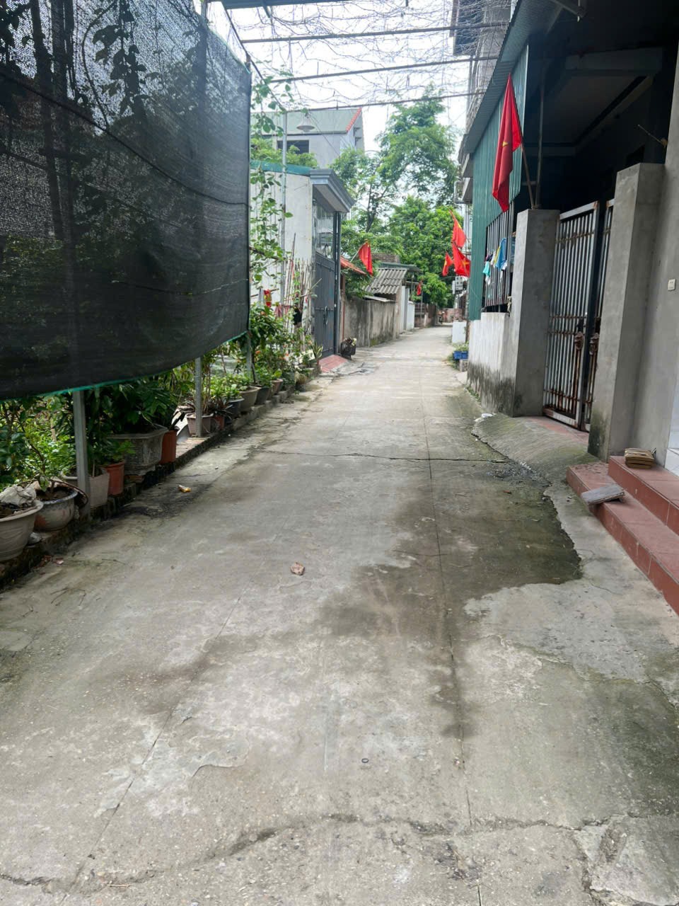 Bán Đất Lương Quy - Xuân Nộn, 56.4m², Ô Tô Vào Cửa, Giá 3.85 tỷ
