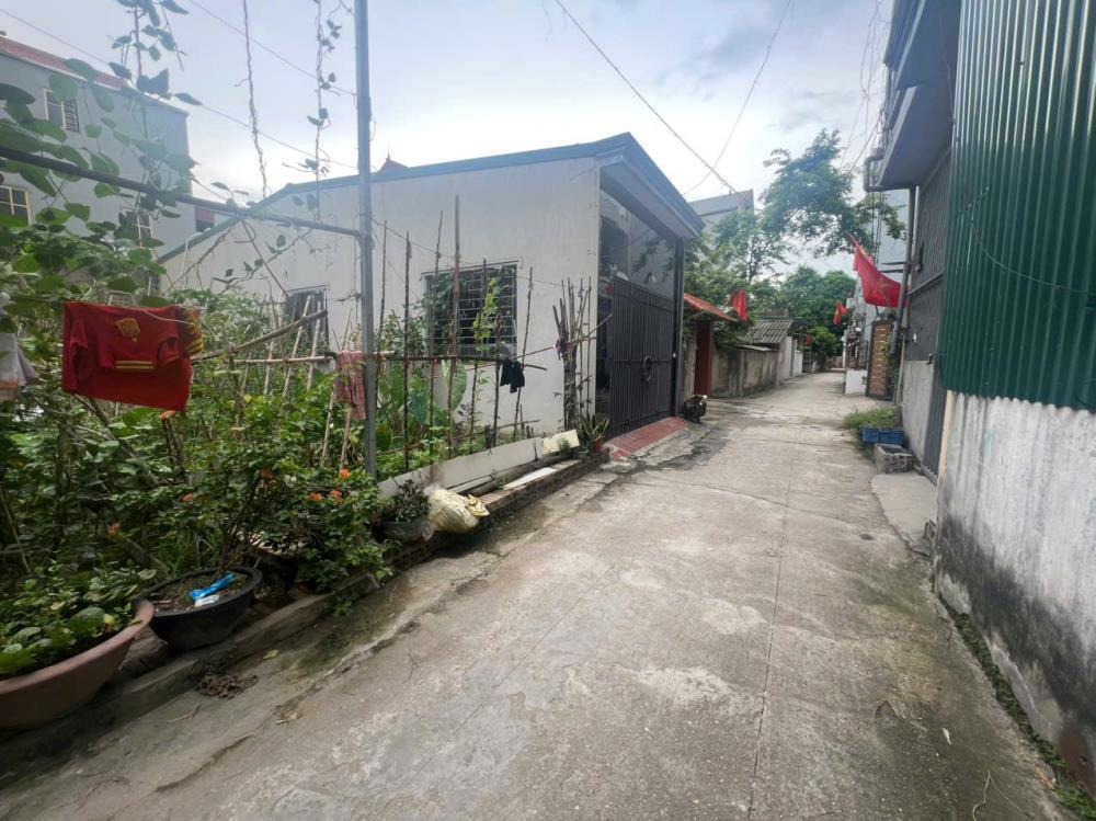 Bán Đất Lương Quy - Xuân Nộn, 56.4m², Ô Tô Vào Cửa, Giá 3.85 tỷ