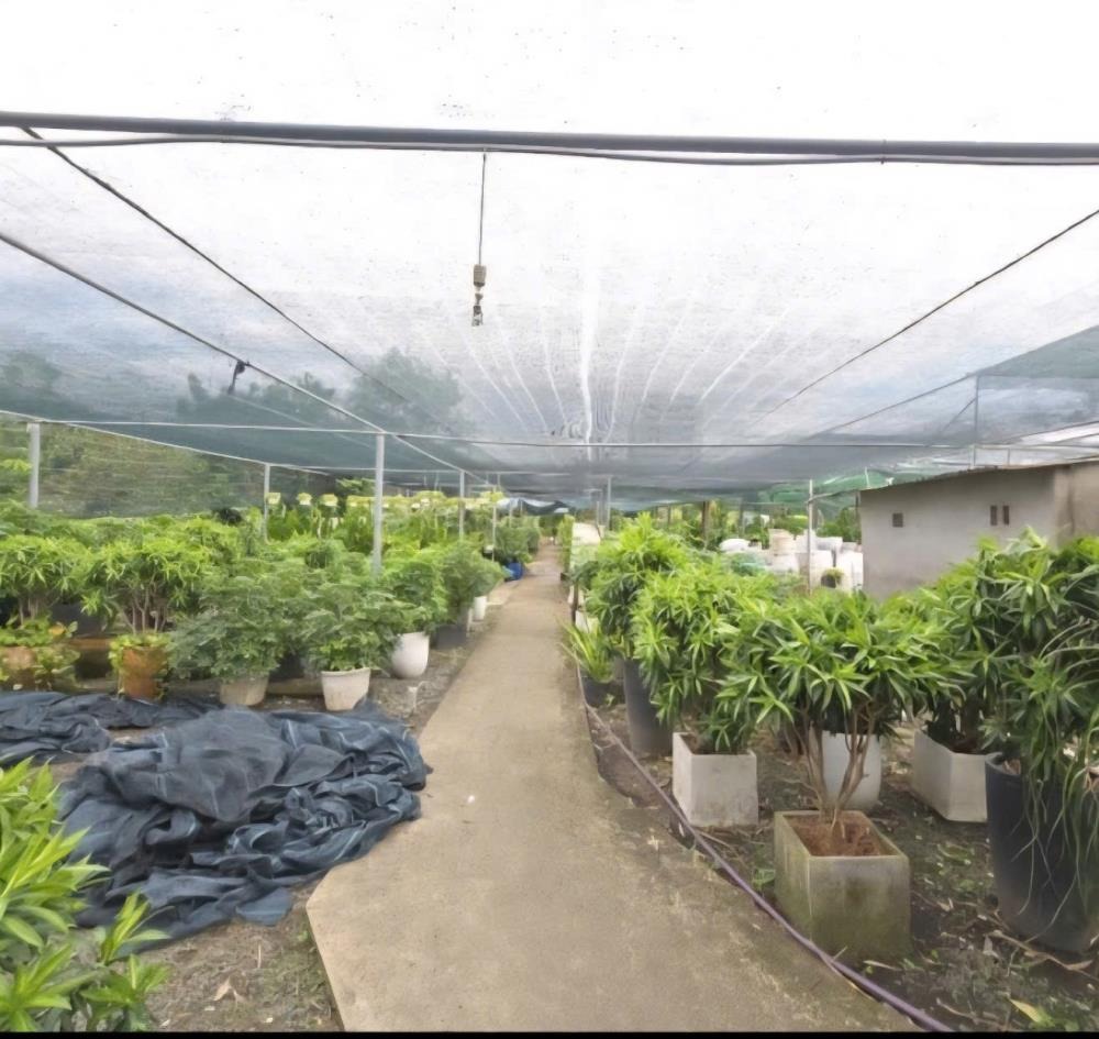 Siêu phẩm đất nền góc 2 mặt tiền Nguyễn Duy Trinh, Thủ Đức - Đầu tư sinh lời