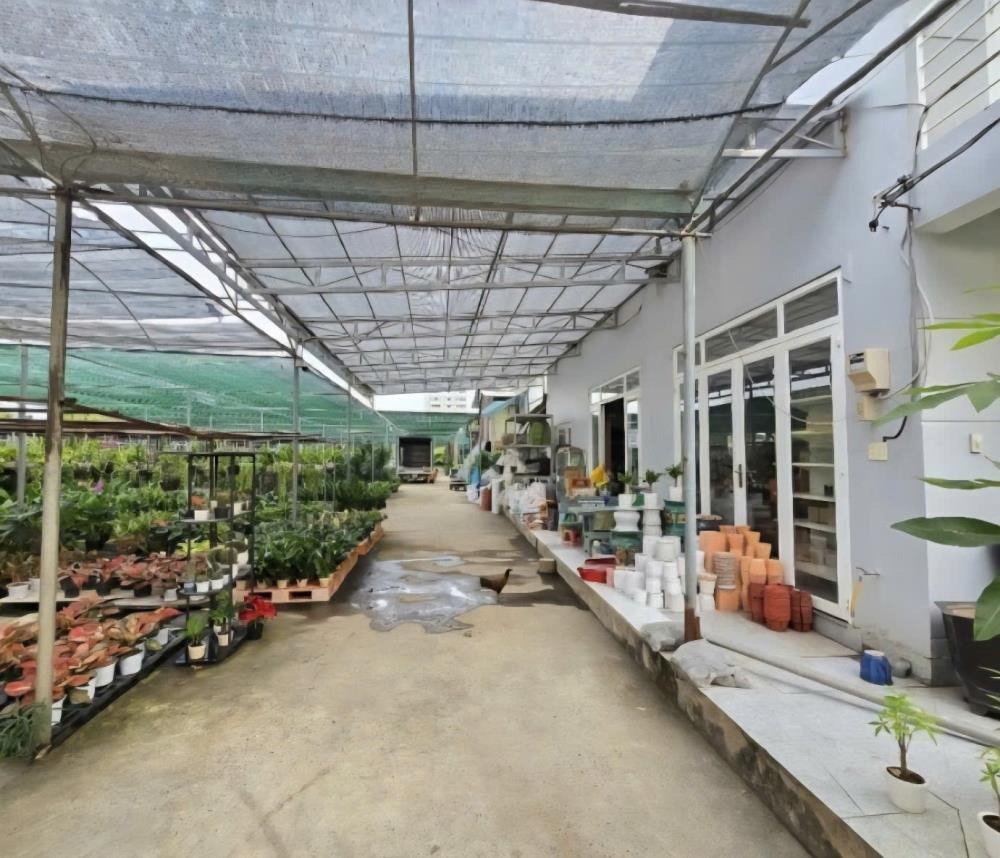 Siêu phẩm đất nền góc 2 mặt tiền Nguyễn Duy Trinh, Thủ Đức - Đầu tư sinh lời