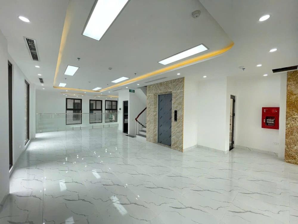 Cho Thuê Căn Hộ Cao Cấp Đống Đa - Vị Trí Đắc Địa, Kinh Doanh Sức Lợi