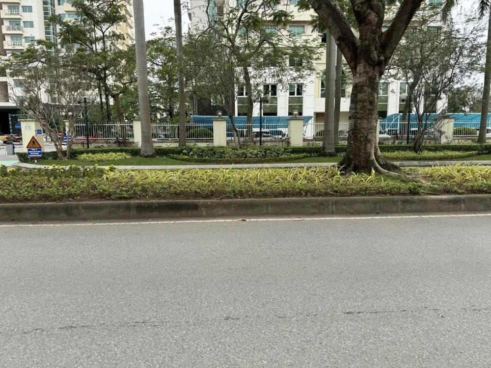 Bán Gấp Biệt Thự Ciputra Khu C - 200m² Mặt Tiền 9m - Full Nội Thất Cao Cấp