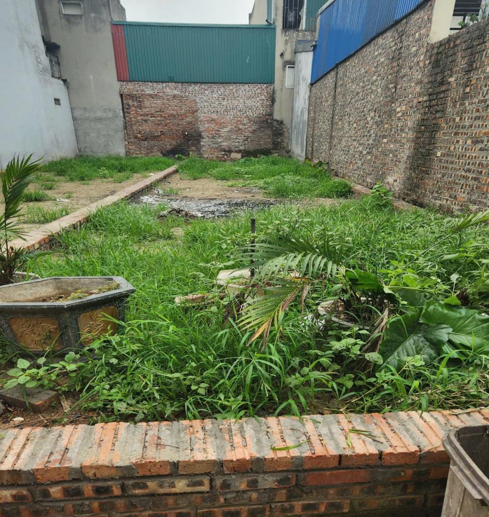 Bán Đất Vàng Đông Anh: Vị Trí Đắc Địa, Đầu Tư Sinh Lời