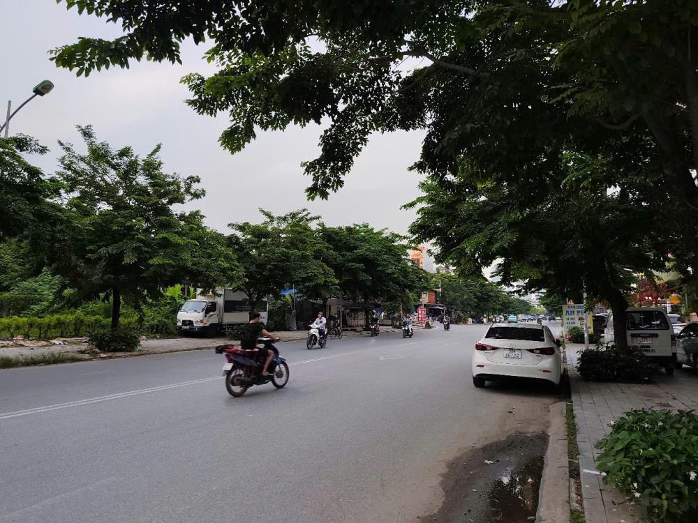 Cho Thuê Biệt Thự Cao Cấp Dương Nội, Hà Đông - Phù Hợp Văn Phòng