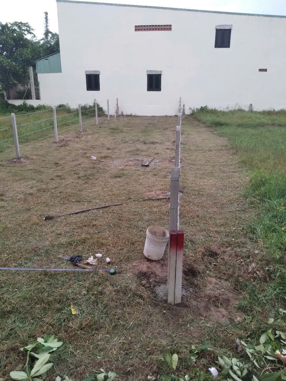 Đất Củ Chi 5x24m Full Thổ Cư, Mặt Tiền Nhựa 8m - Giá Tốt