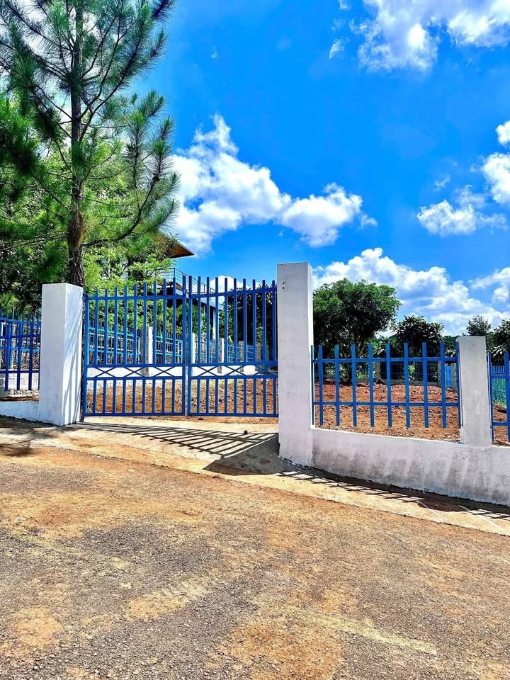 Bán Gấp Lô Đất Phước Vĩnh An, Củ Chi - 168m2, Full Thổ Cư, Giá Tốt