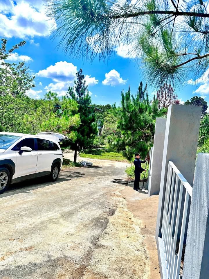 Bán Gấp Lô Đất Phước Vĩnh An, Củ Chi - 168m2, Full Thổ Cư, Giá Tốt