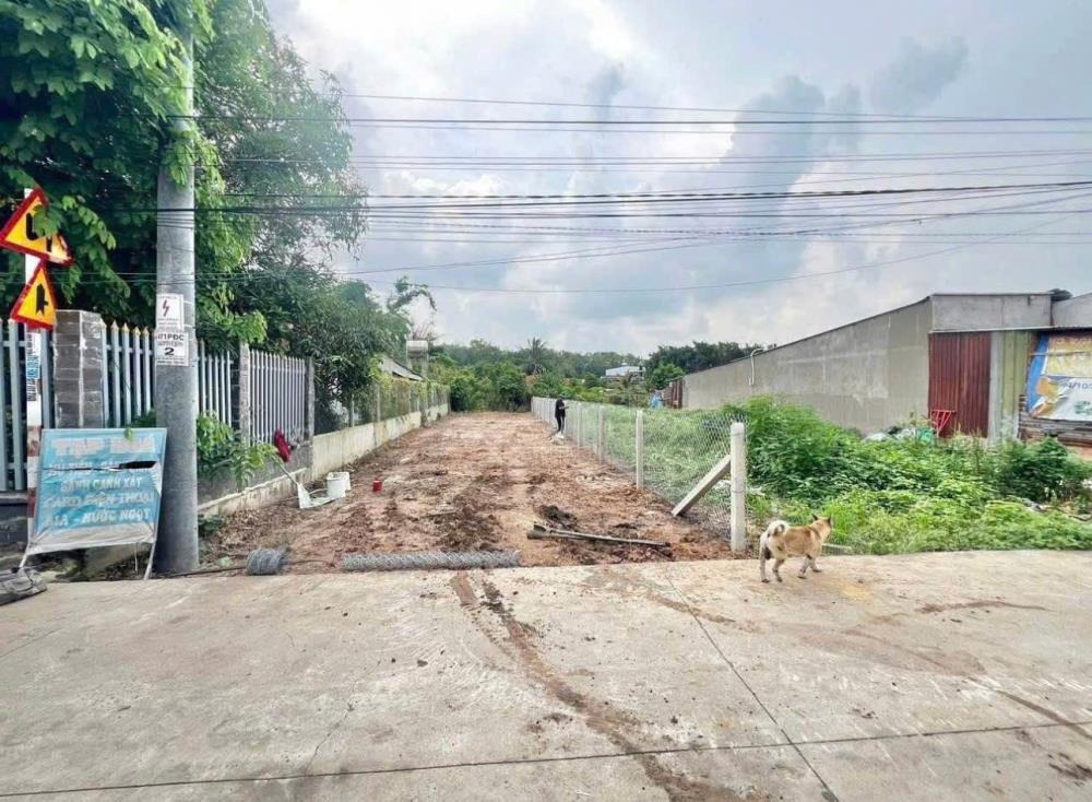 Bán Nhanh Lô Đất 85m² Tân Thạnh Tây, Củ Chi - Giá Rẻ, Pháp Lý Rõ