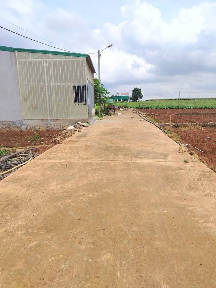 Bán Gấp Lô Đất Mặt Tiền Phước Thạnh, Củ Chi - Giá Tốt, Pháp Lý Rõ