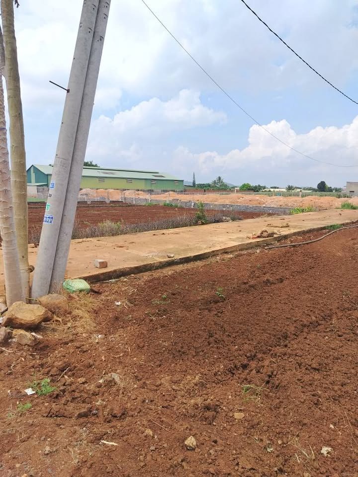 Bán Gấp Lô Đất Mặt Tiền Phước Thạnh, Củ Chi - Giá Tốt, Pháp Lý Rõ