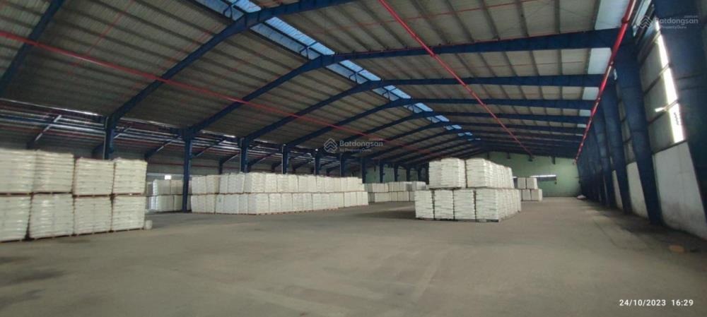 Cho Thuê Kho Xưởng Giá Rẻ Tại Bình Chánh, TP.HCM | Diện Tích Đa Dạng