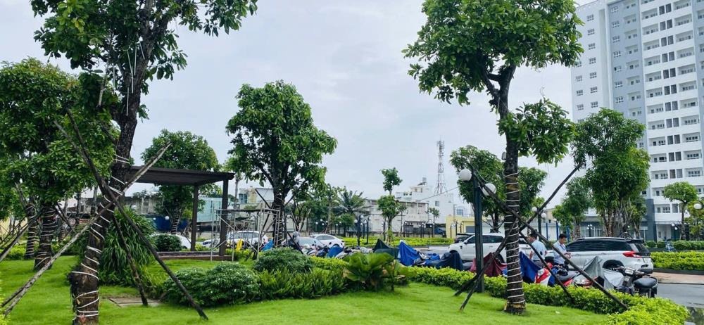 Căn Hộ Conic: Diện Tích 84.32m² - 114m² - Vị Trí Đắc Địa Bình Chánh