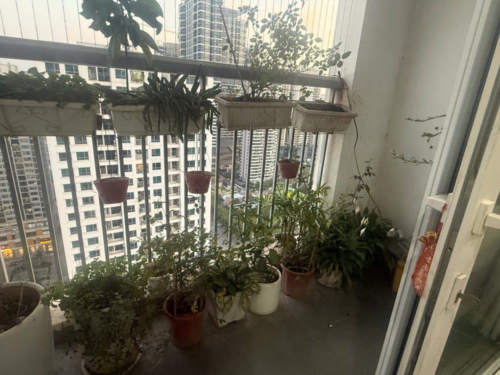 Chung Cư Ngoại Giao Đoàn 93.8m2 - 3PN Full Nội Thất, Giá 9.2 Tỷ
