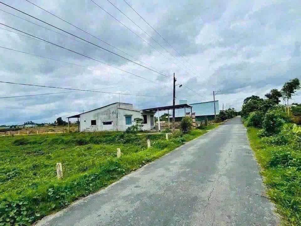 Bán Gấp Lô Đất Mặt Tiền Nhuan Đức, Củ Chi - Sổ Hồng Riêng, Vị Trí Đắc Địa