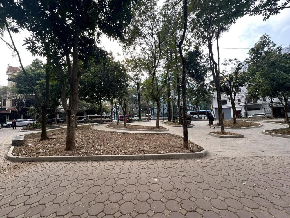 Bán Nhanh Biệt Thự Mỹ Đình - Nguyễn Cơ Thạch - 57 Tỷ - Lô Góc - View Vườn Hoa