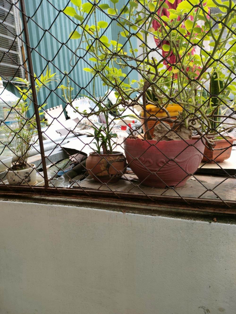 Bán Nhà Hậu Khuông, Bạch Mai - 7m, 5 Tầng, 1 Tỷ Hai Bà Trưng