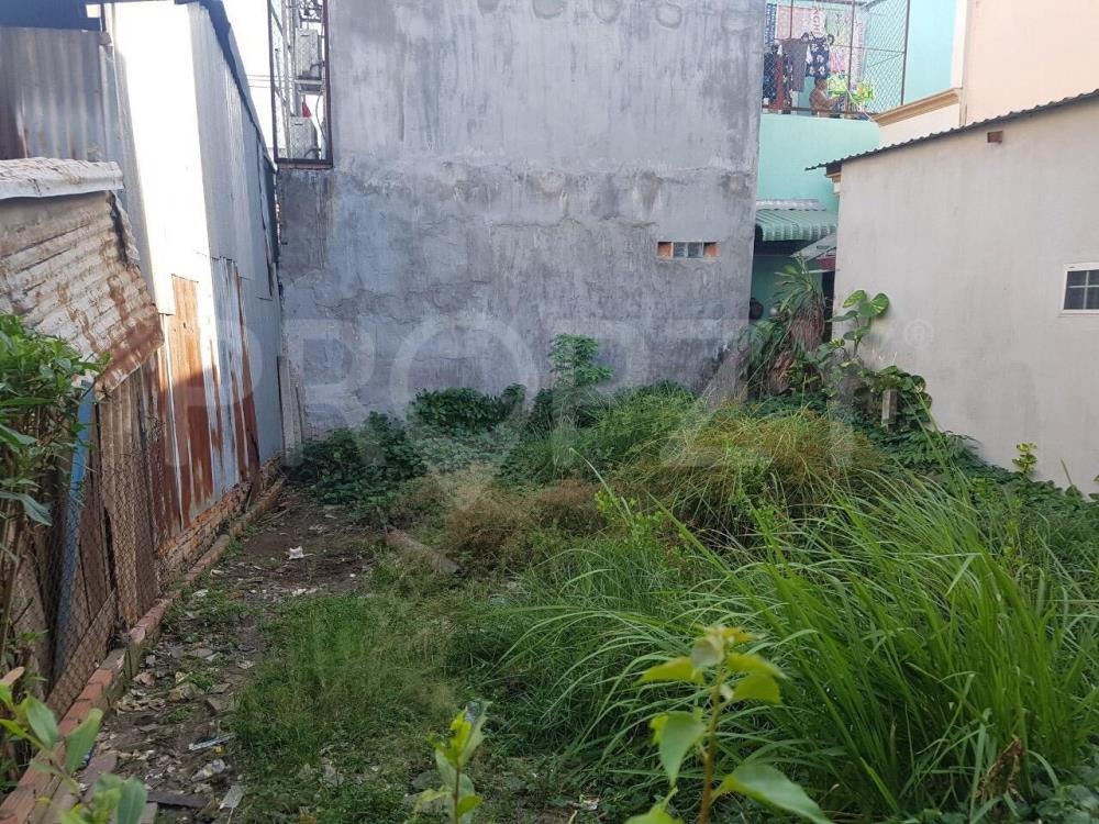 Bán Đất Ngay Cầu Ông Thìn, Bình Chánh - Giá Tốt, Pháp Lý Rõ