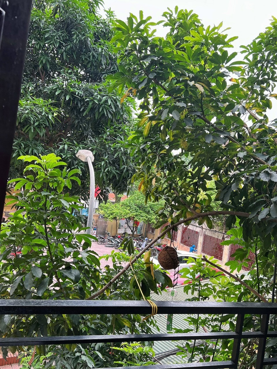 Bán Nhà 85m2 Phố Vũ Ngọc Phan - Vị Trí Đắc Địa, Thông Thoáng, Gần Nhiều Tiện Ích
