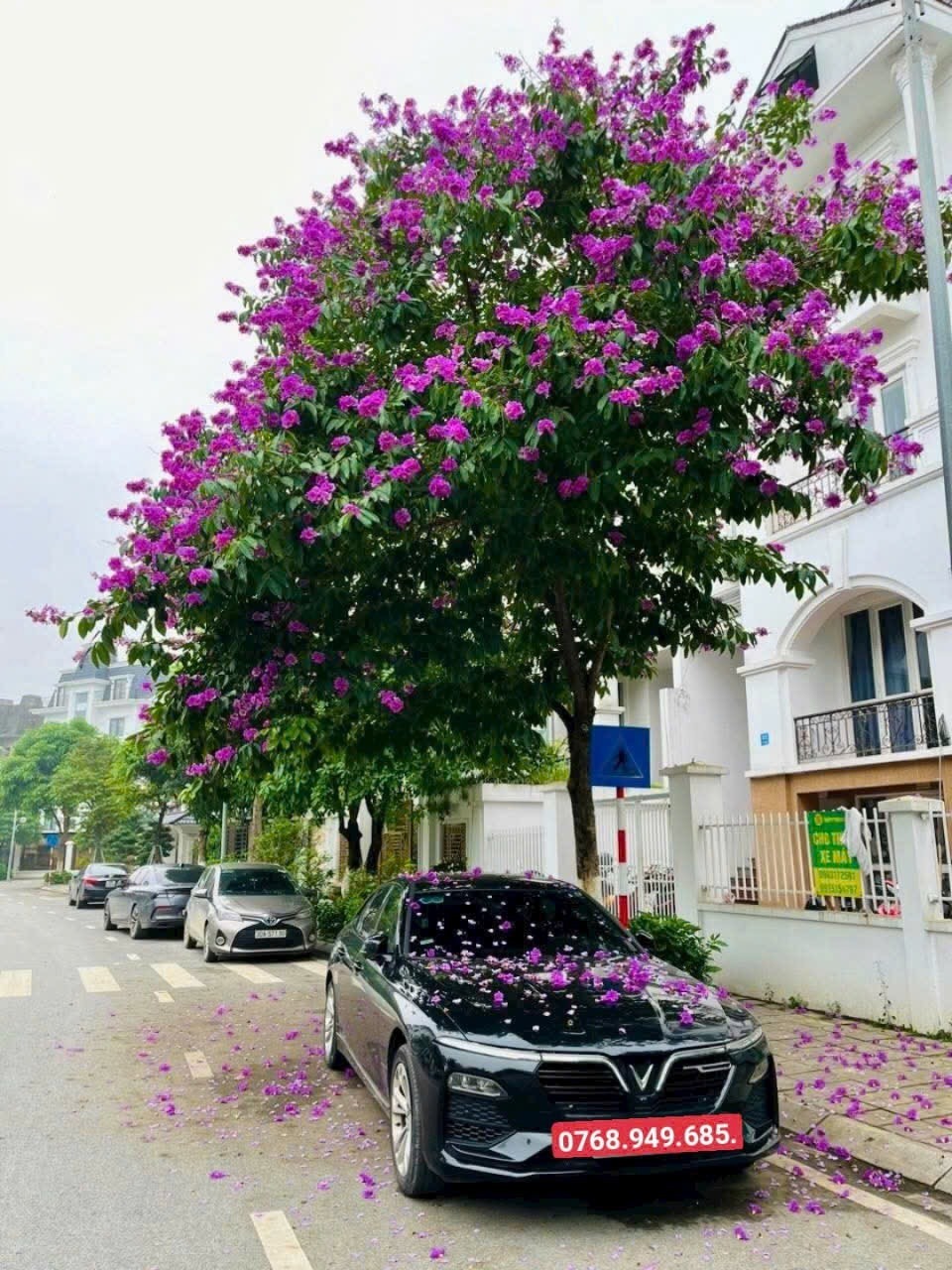 Cần Bán Biệt Thự Đơn Lập Góc Lideco Hoài Đức - View Hồ, Pháp Lý Sổ Đỏ