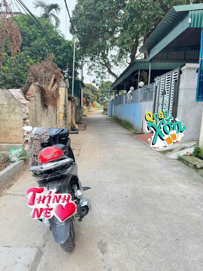 Bán Gấp Đất Xã Tự Nhiên, Huyện Thường Tín - Vị Trí Đắc Địa, Pháp Lý Sạch