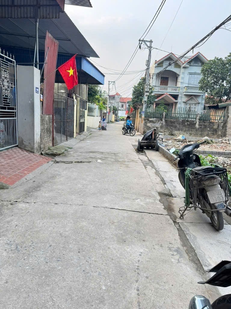 Bán Gấp Đất Xã Tự Nhiên, Huyện Thường Tín - Vị Trí Đắc Địa, Pháp Lý Sạch