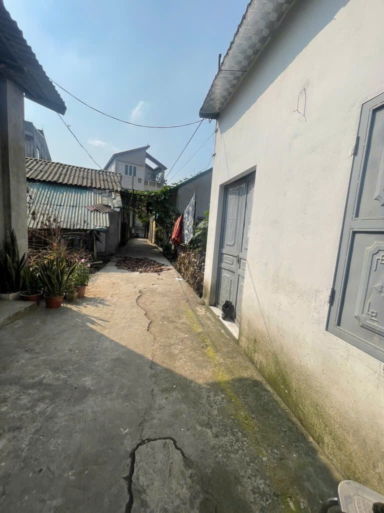 Bán nhà cấp 4 45m2 Đại Mạch, Đông Anh - Gần KCN Bắc Thăng Long
