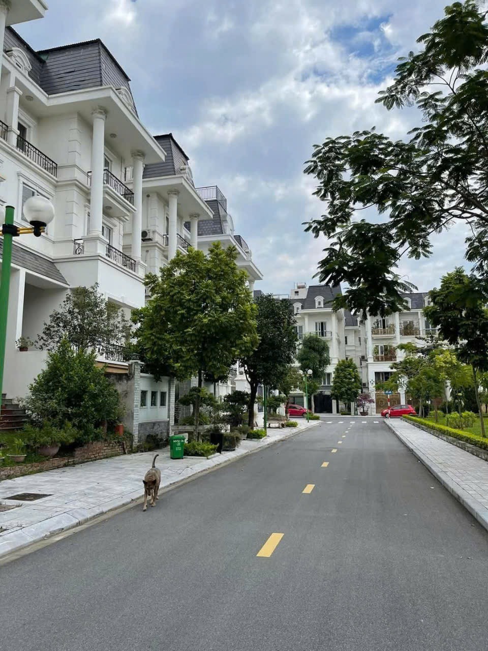 Bán Biệt Thự Song Lập Lideco 162m² - 5 Tầng, Đường 13m