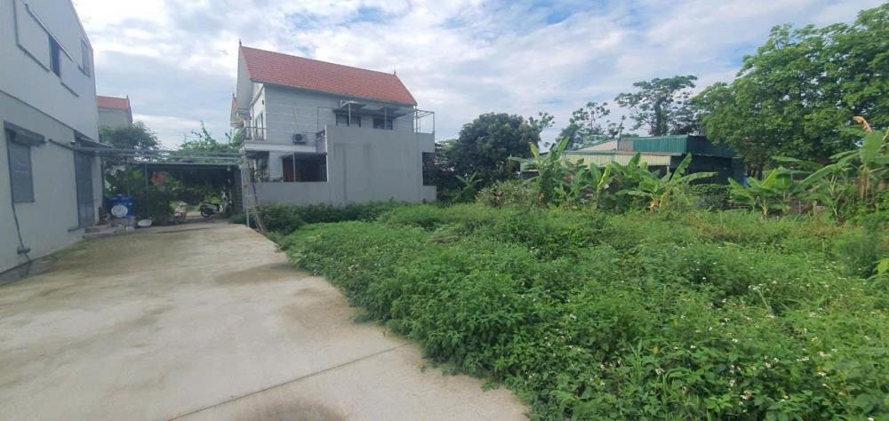Đất Nền Tân Minh - Thường Tín: Vị trí đẹp, Nở hậu, Giá Tốt