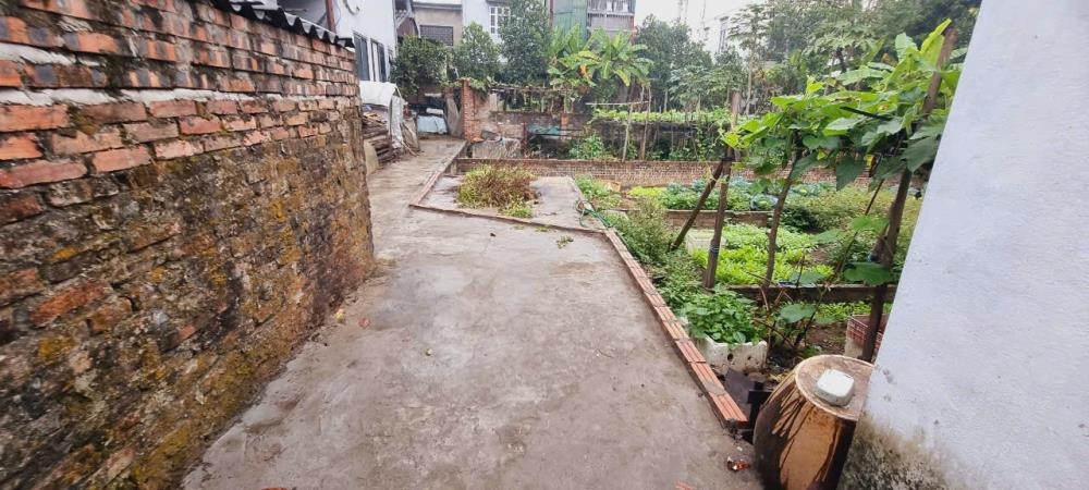 Bán Đất Dục Nội Giá Rẻ - 44m2, Gần Chợ, Đường Cao Lỗ