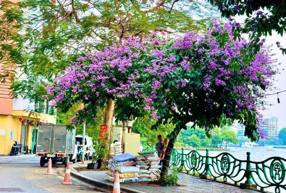 Mặt Phố Hiếm Có - 39m2, 4 Tầng, Ô Tô Đỗ Cửa, Kinh Doanh Đỉnh Cao - Giá 19.2 Tỷ