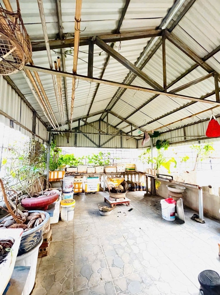 Nhà phố Chính Kinh - Thanh Xuân: 60m² - 4 Tầng - 8.5 Tỷ - Vị Trí Đắc Địa