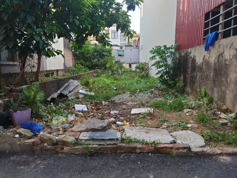 Bán Lô Đất 113m² Đông Anh - Đầu Tư Sinh Lời, Gần Mặt Đường Hậu Dưỡng